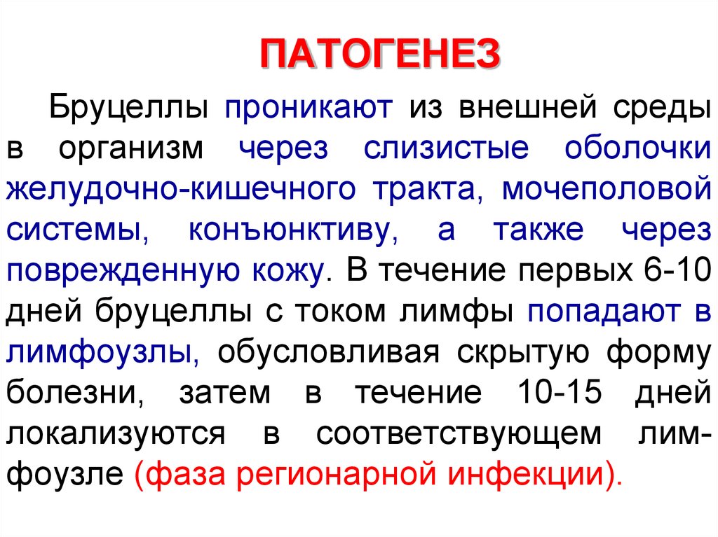 Бруцеллез патогенез. Патогенез бруцеллеза. Хронический бруцеллез патогенез. Бруцеллы патогенез. Бруцеллез этиология патогенез.