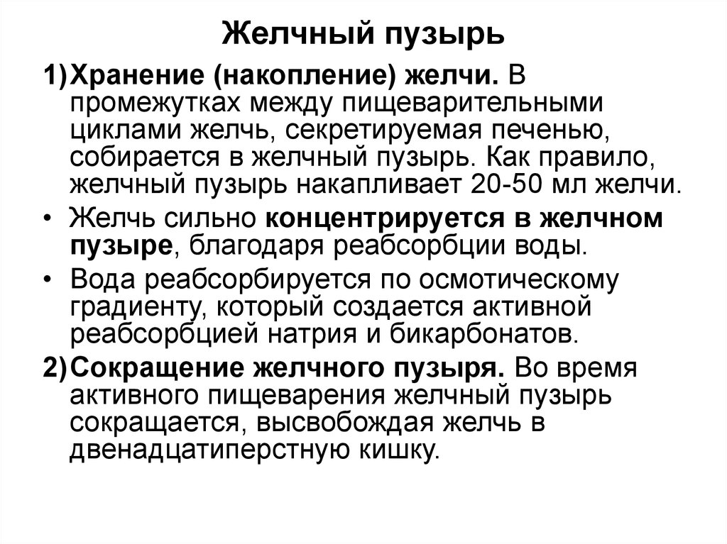 Кишечный цикл. Фазы секреции желчи. Регуляция моторики желчного пузыря.