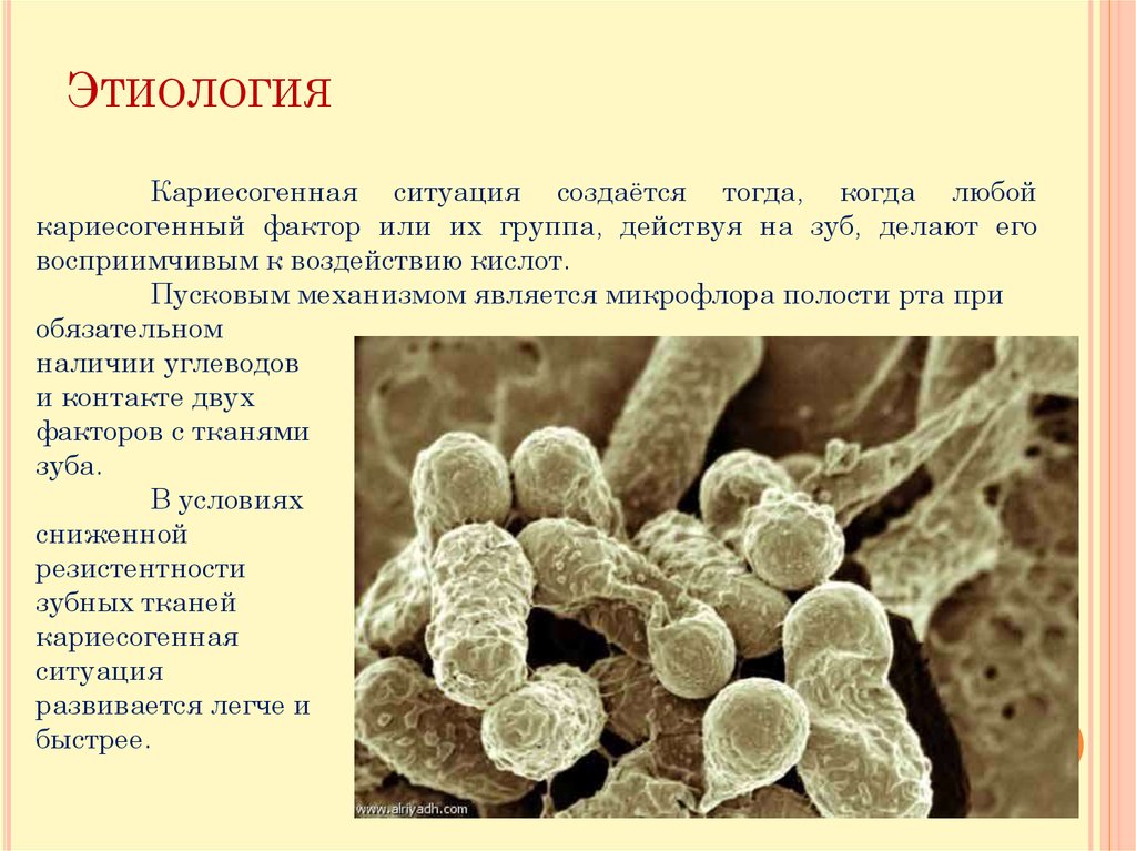 Отеки при заболеваниях почек этиология патогенетическое обоснование клиника презентация