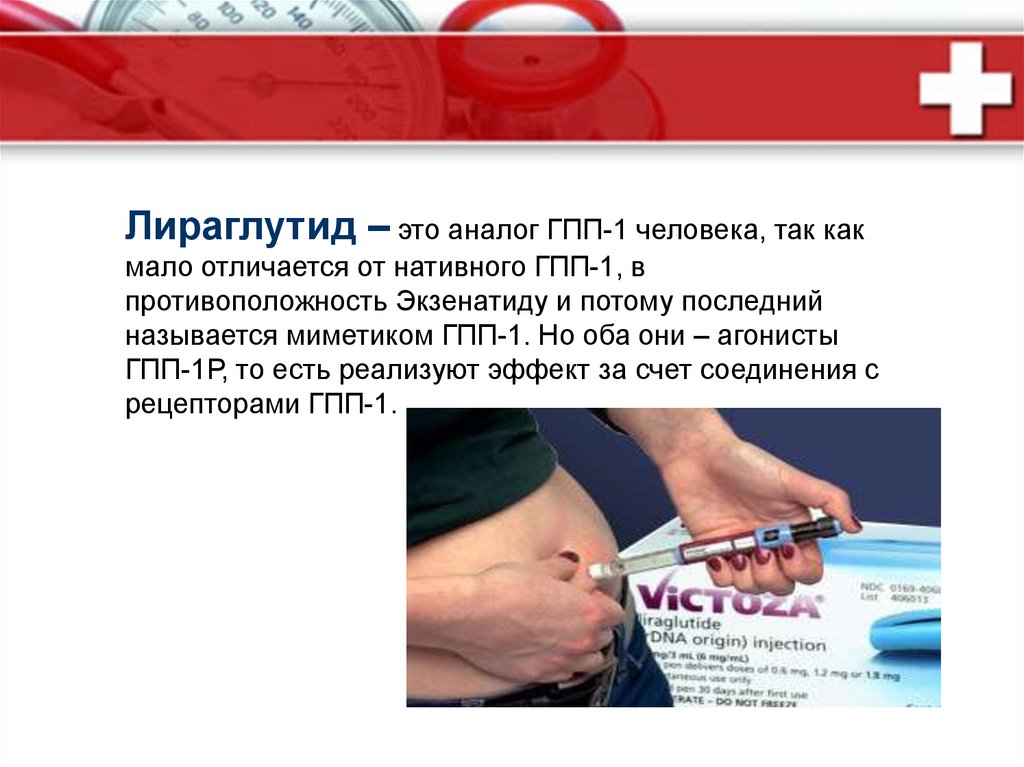 Глюкагоноподобный пептид-1 в терапии сахарного диабета 2-го типа ...
