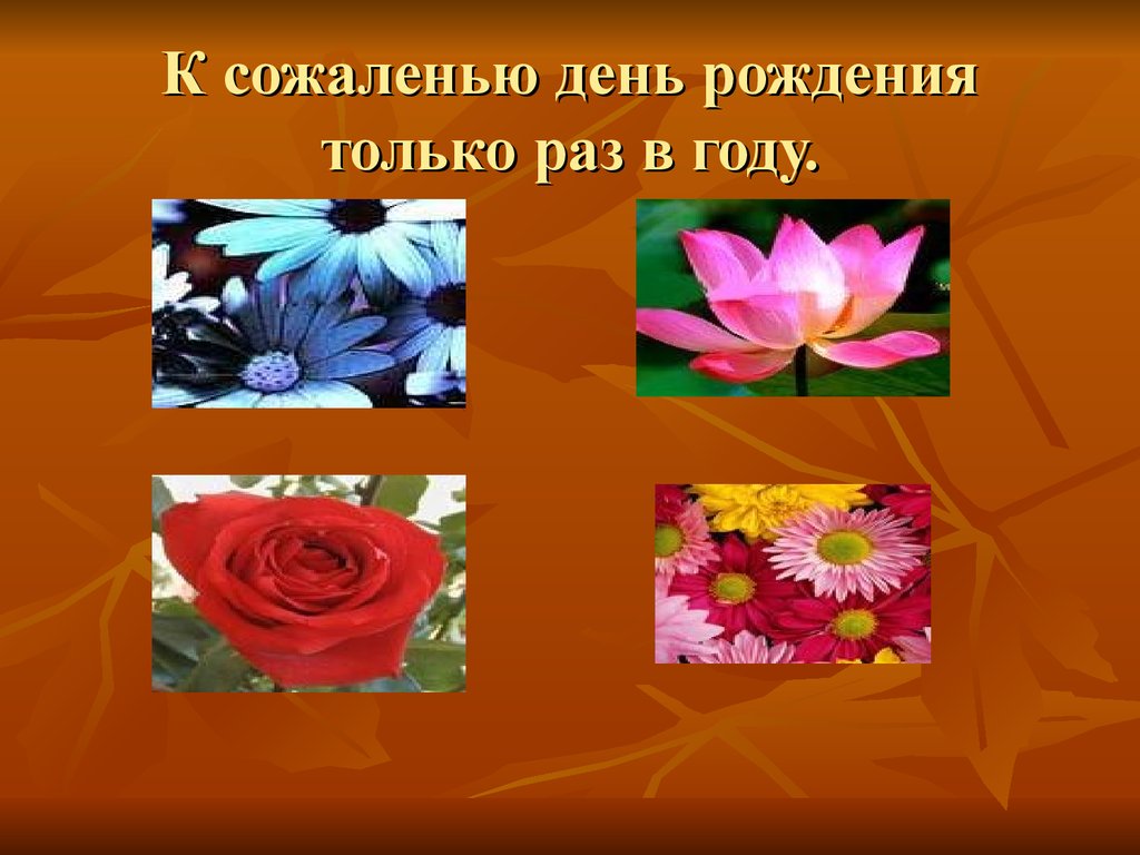 День рождения только раз в году. К сожалению день рождения только раз в году. День рождения только раз в году картинки.