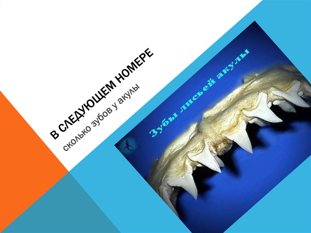 В следующем номере