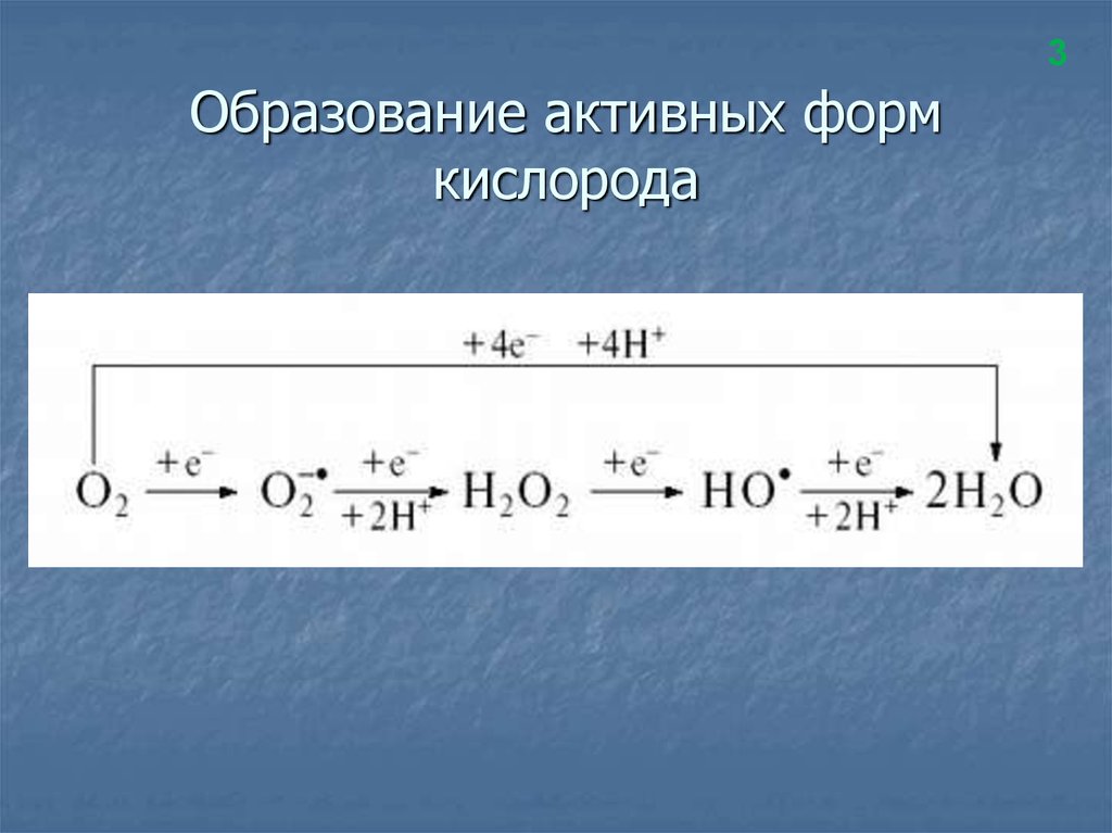 Процессы образования кислорода. Приведите схему образования активных форм кислорода (АФК). Образование токсических форм кислорода. Схема образования активных форм кислорода АФК. Схему образования активных форм кислорода из супероксиданиона..