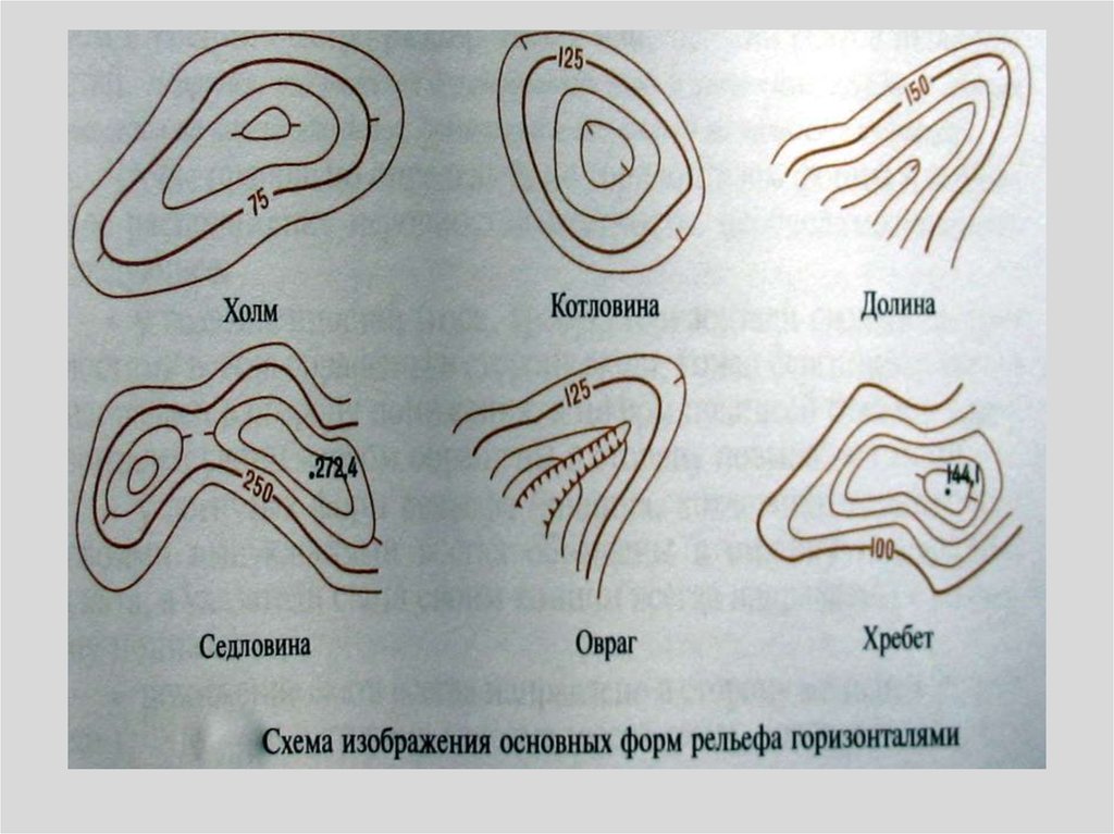 Изображение горизонталей. Гора хребет котловина Лощина седловина. Формы рельефа гора,котловина, хребет, Лощина, седловина. Гора котловина хребет Лощина седловина изображение. Форма рельефа горизонталями хребет.