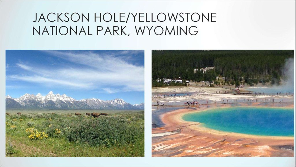 Jackson hole/Yellowstone national park, wyoming