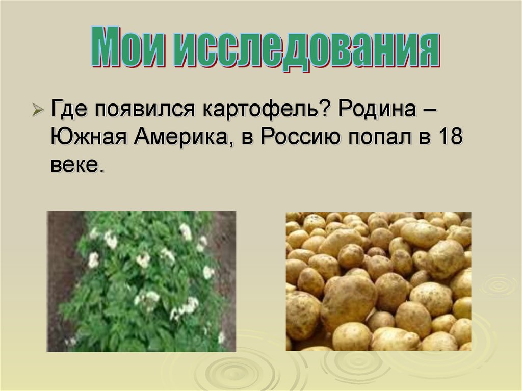 Работа картофеля