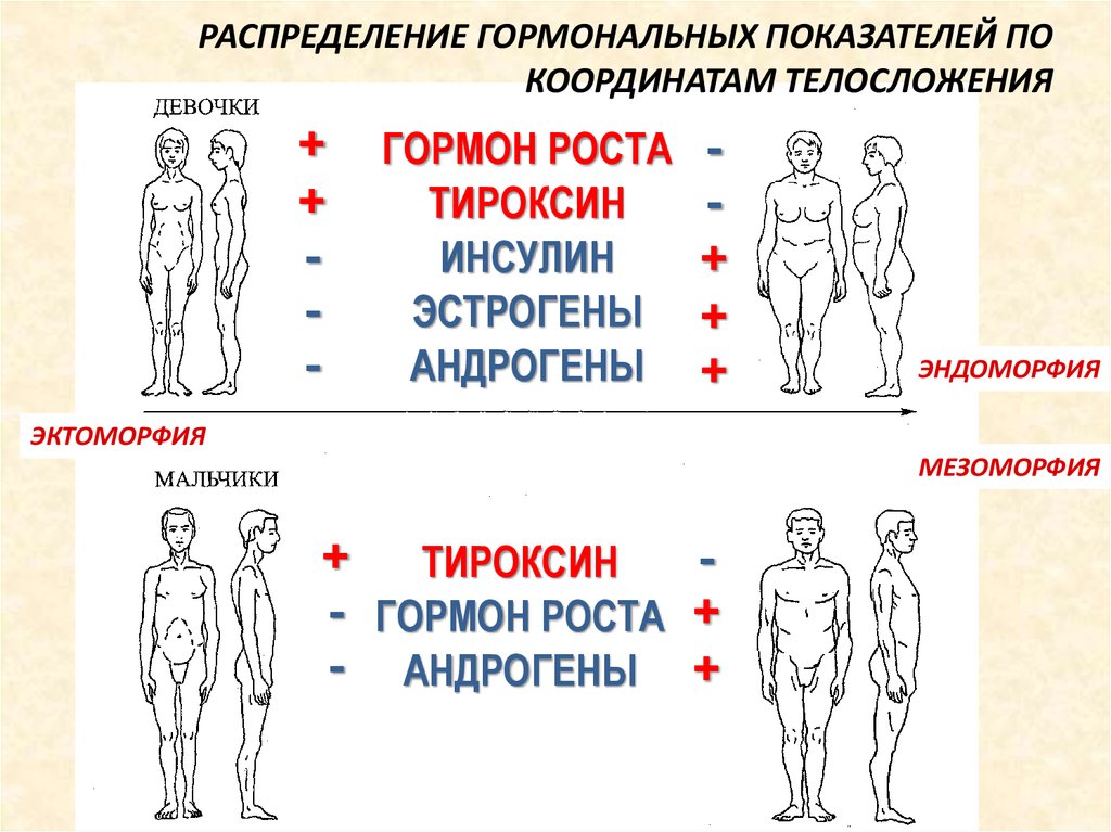 Схемы конституциональной диагностики и б галанта