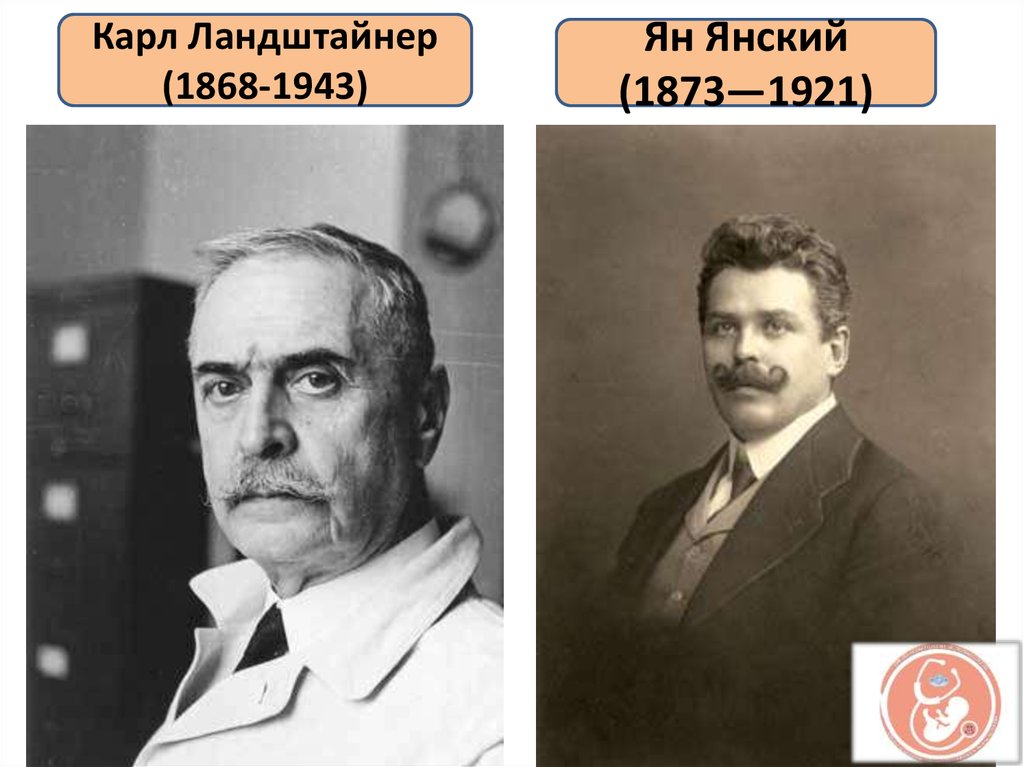 Карл Ландштайнер (1868-1943)