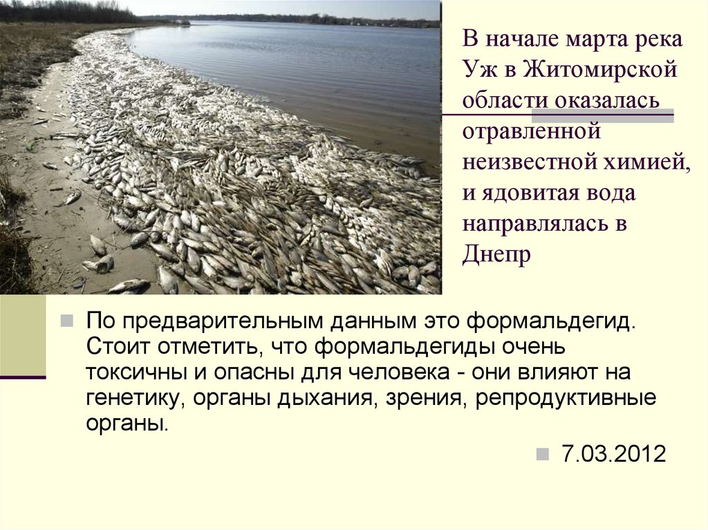 В начале марта река Уж в Житомирской области оказалась отравленной неизвестной химией, и ядовитая вода направлялась в Днепр