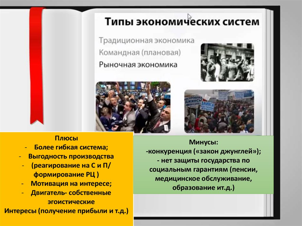 Типы экономических принципов. Плюсы экономического образования.