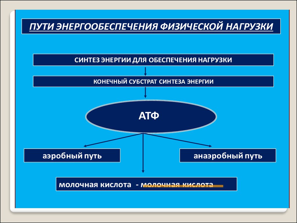 Физиология физического воспитания и спорта - презентация онлайн