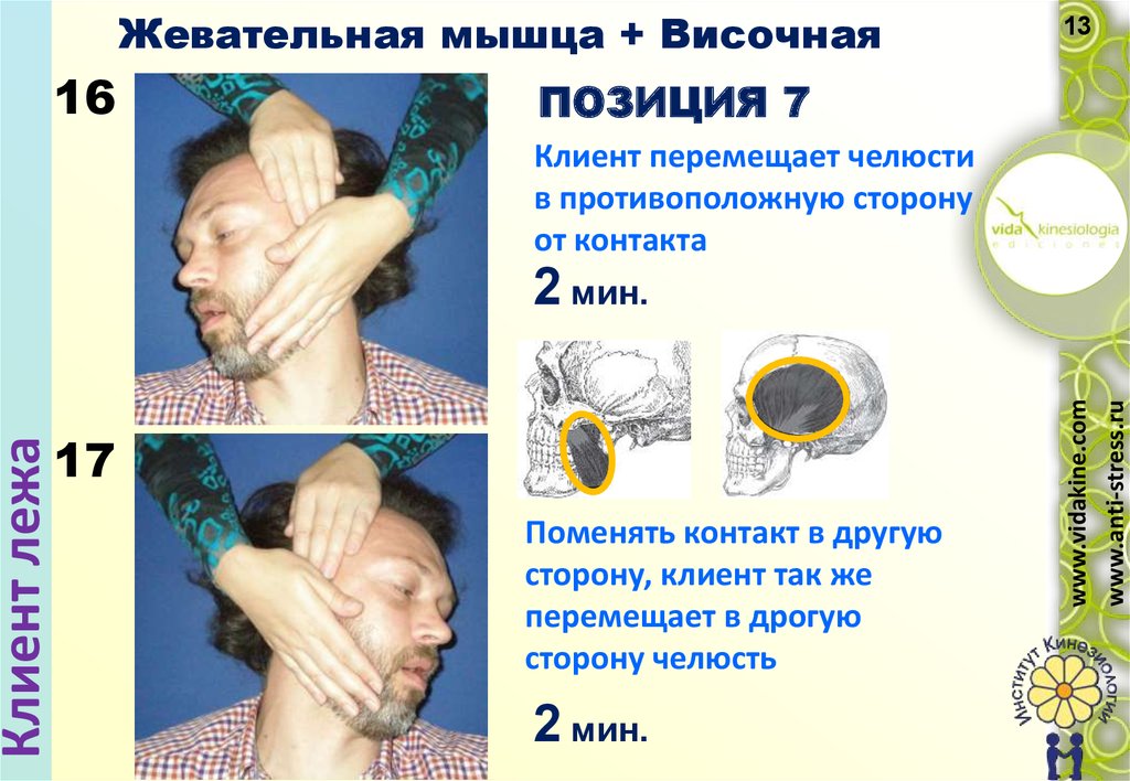 постизометрическая релаксация мышцы поясницы постизометрическая релаксация мышцы поясницы