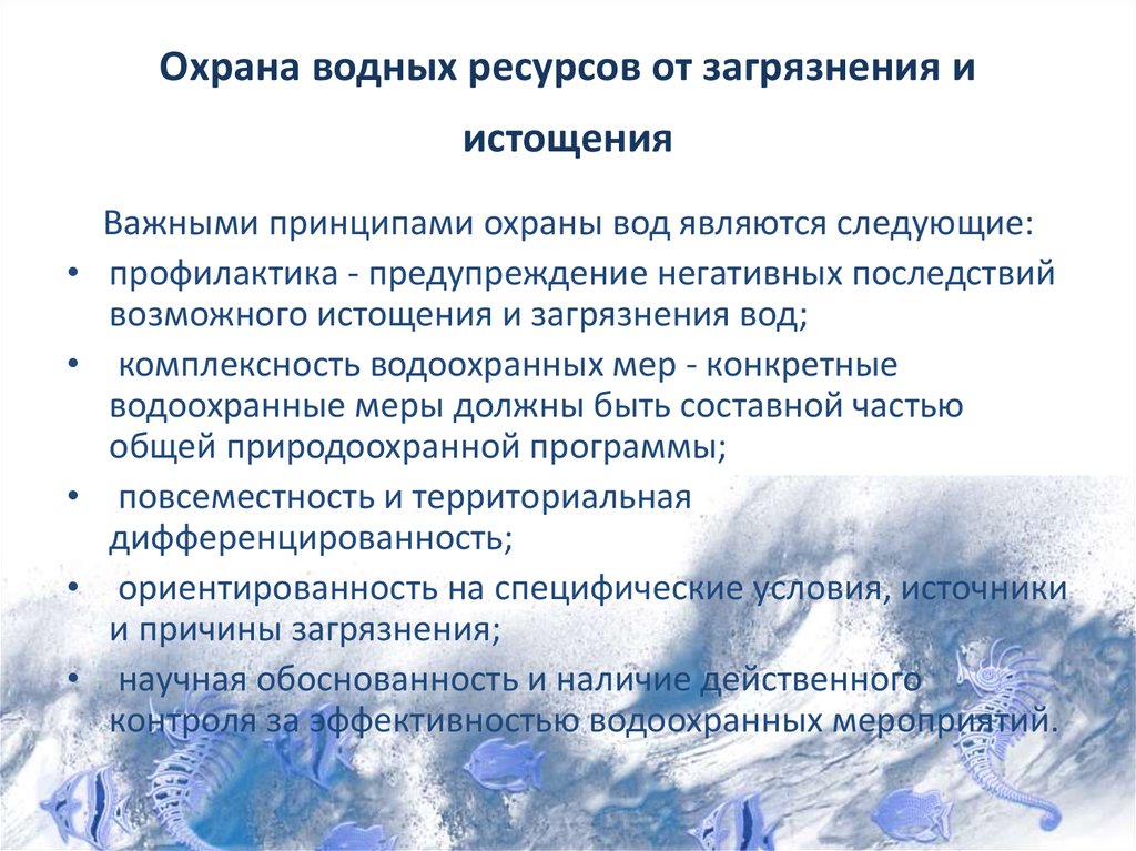 План мероприятий по сохранению водных объектов