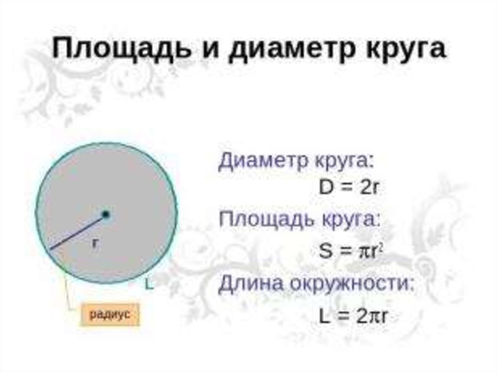 Окружность и круг 5 класс презентация