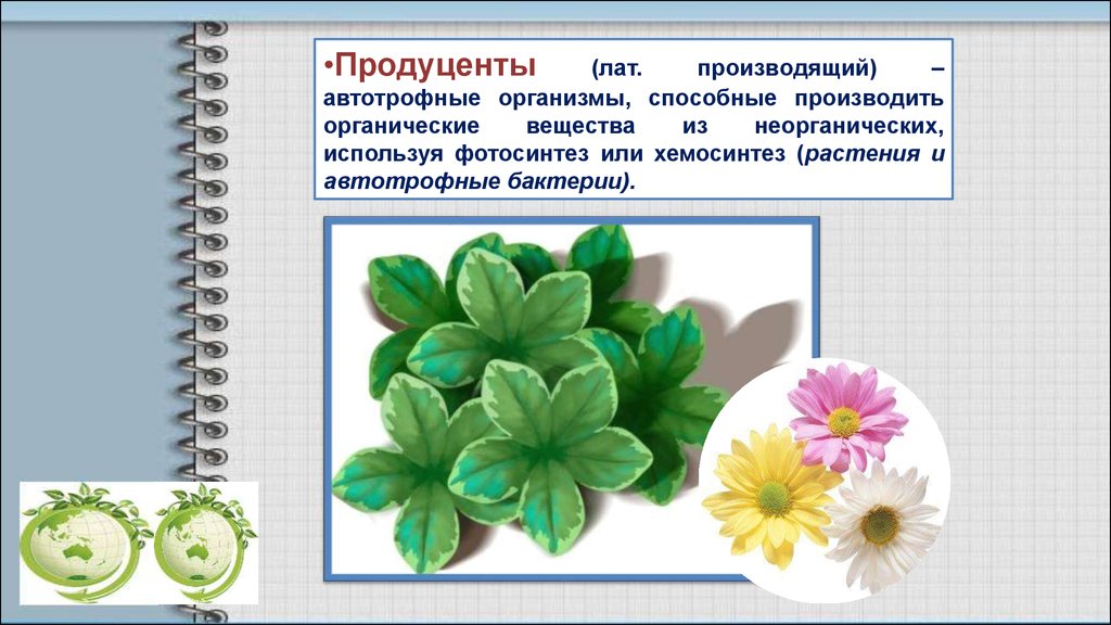 Органические из неорганических создают. Организмы способные создавать органические вещества. Фотосинтез у автотрофных бактерий. Автотрофные растения в цепях. Производят органические вещества из неорганических.