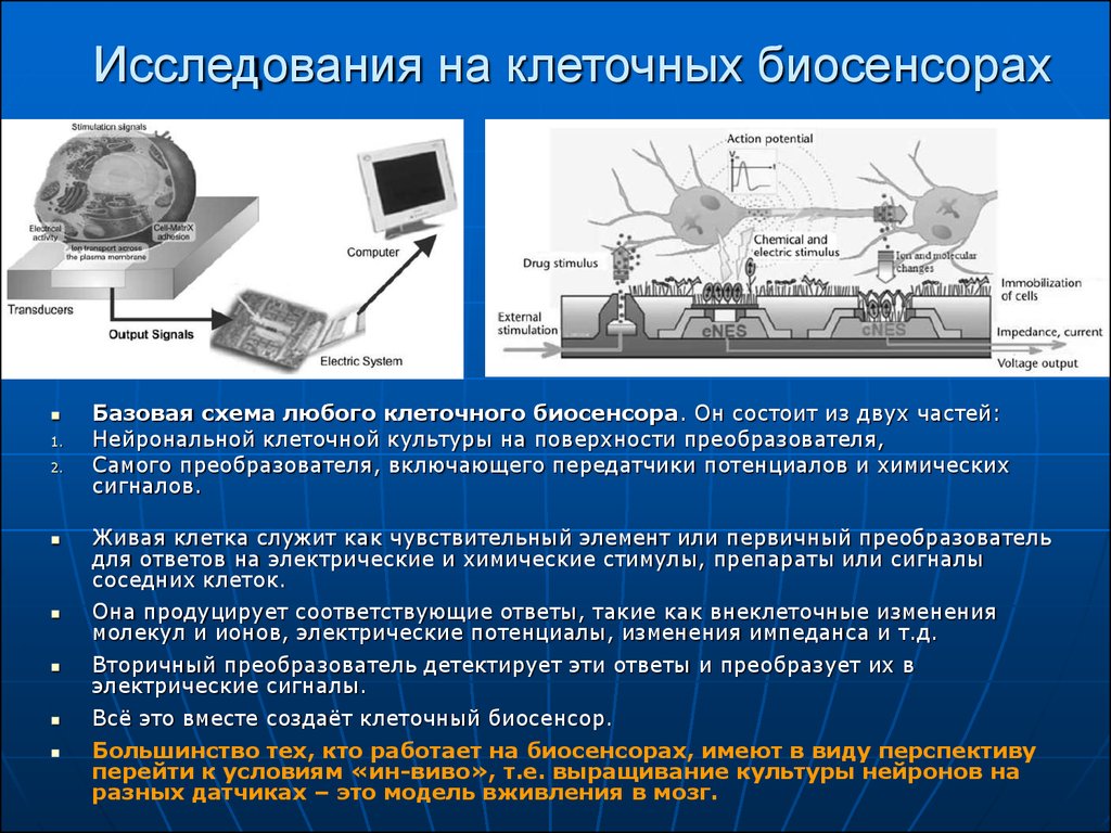 Биосенсоры и биочипы презентация