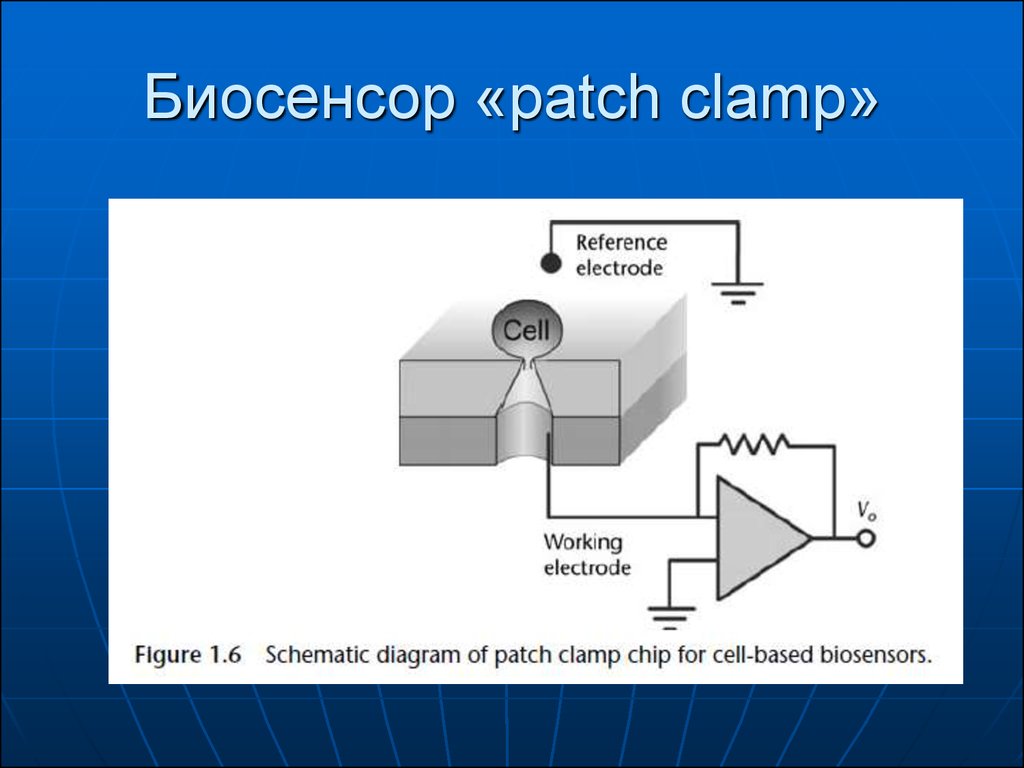 Биосенсоры для мониторинга презентация