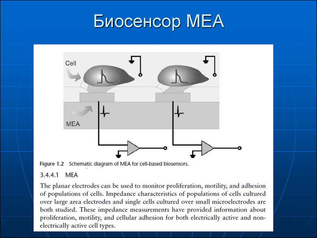 Биосенсоры для мониторинга презентация