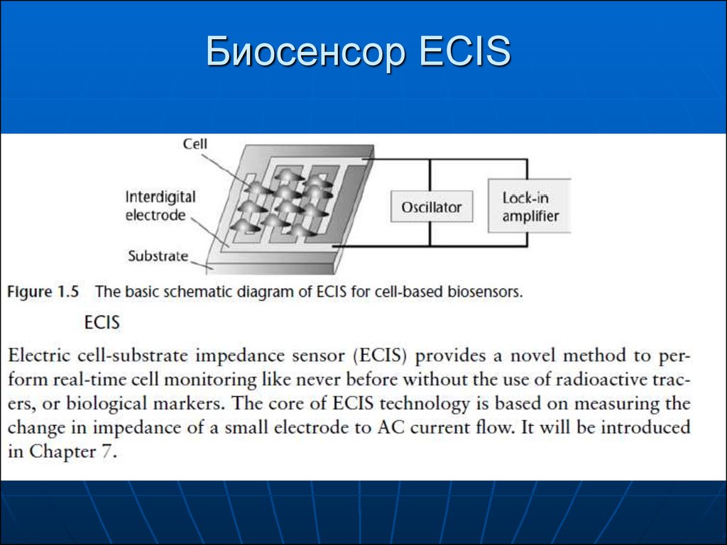 Биосенсоры для мониторинга презентация