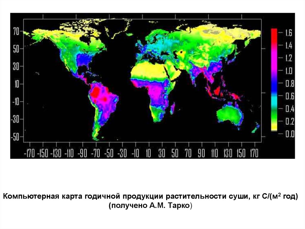 Что такое компьютерная карта