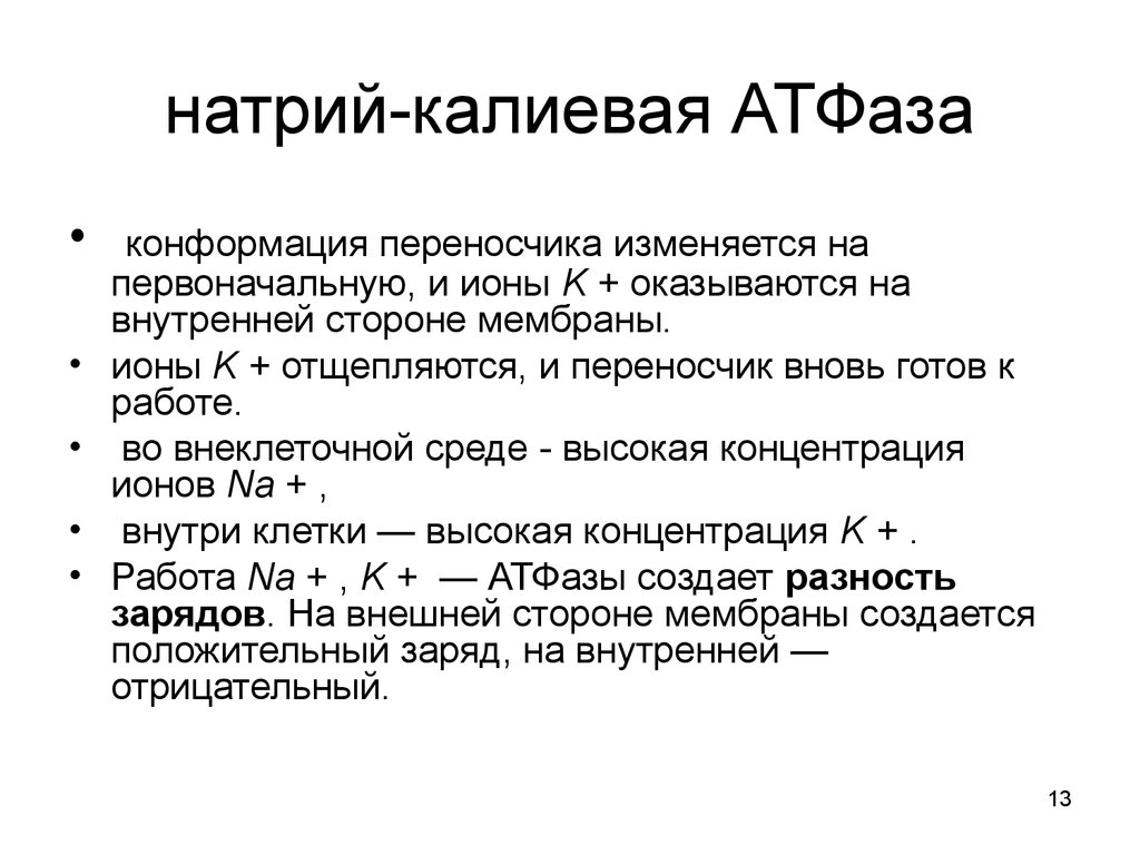 Атфаза. Схема работы натрий калиевой АТФАЗЫ. Натрий калий АТФАЗА. Блокаторы натрий калиевой АТФАЗЫ.