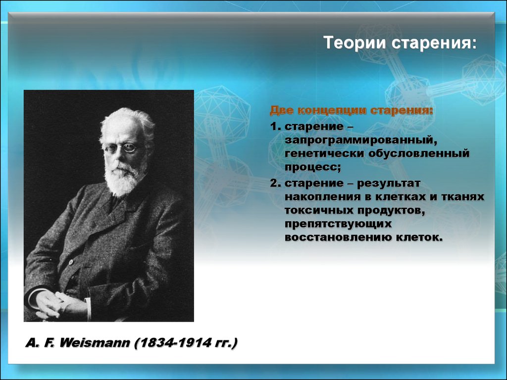 Тему теория. Советский ученый, Автор элевационной теории старения. Теория ортобиоза Мечникова. Теории старения. Теории старения организма.