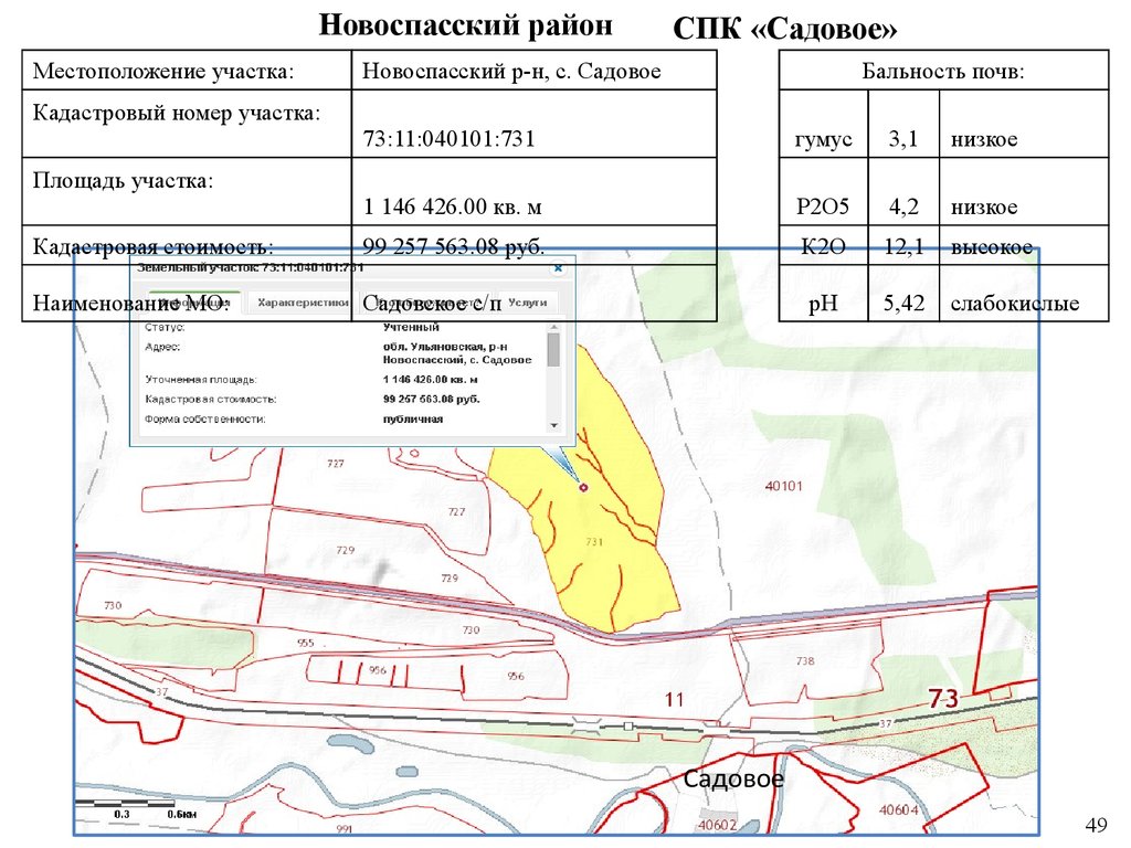 Карта новоспасского района