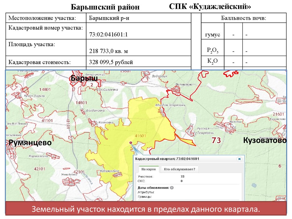 Публичная кадастровая карта барышского района ульяновской области