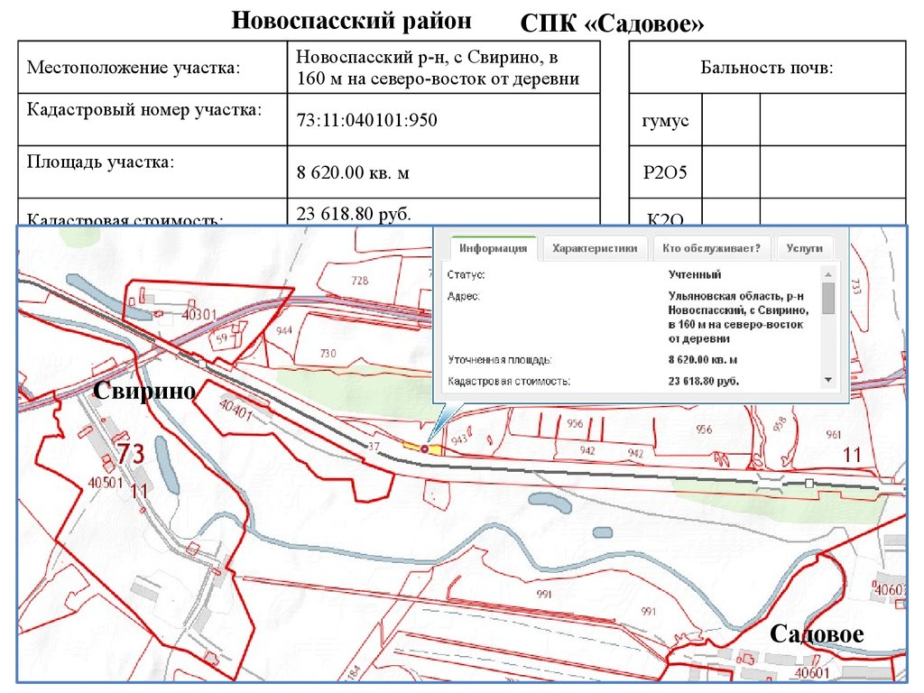 Сельскохозяйственного назначения находящихся в муниципальной. Реестр земель сельскохозяйственного назначения. Карта Свирино. Карта земельных участков СПК Бузовлевский. Перечень свободных сельхоз земель Амурской области.