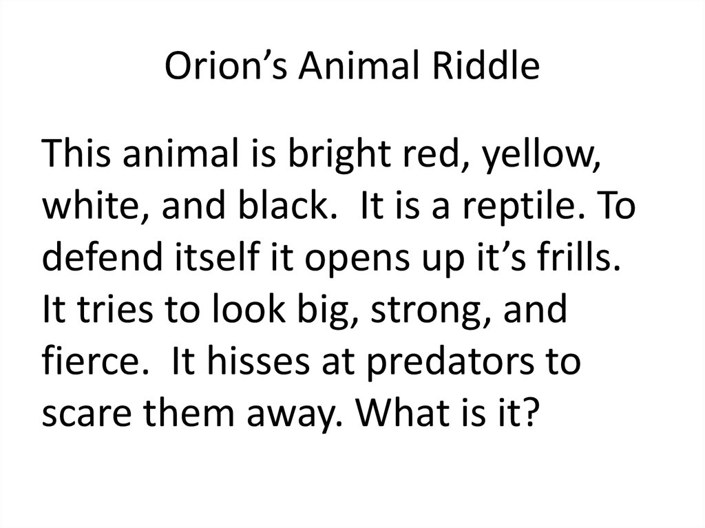 Orion’s Animal Riddle