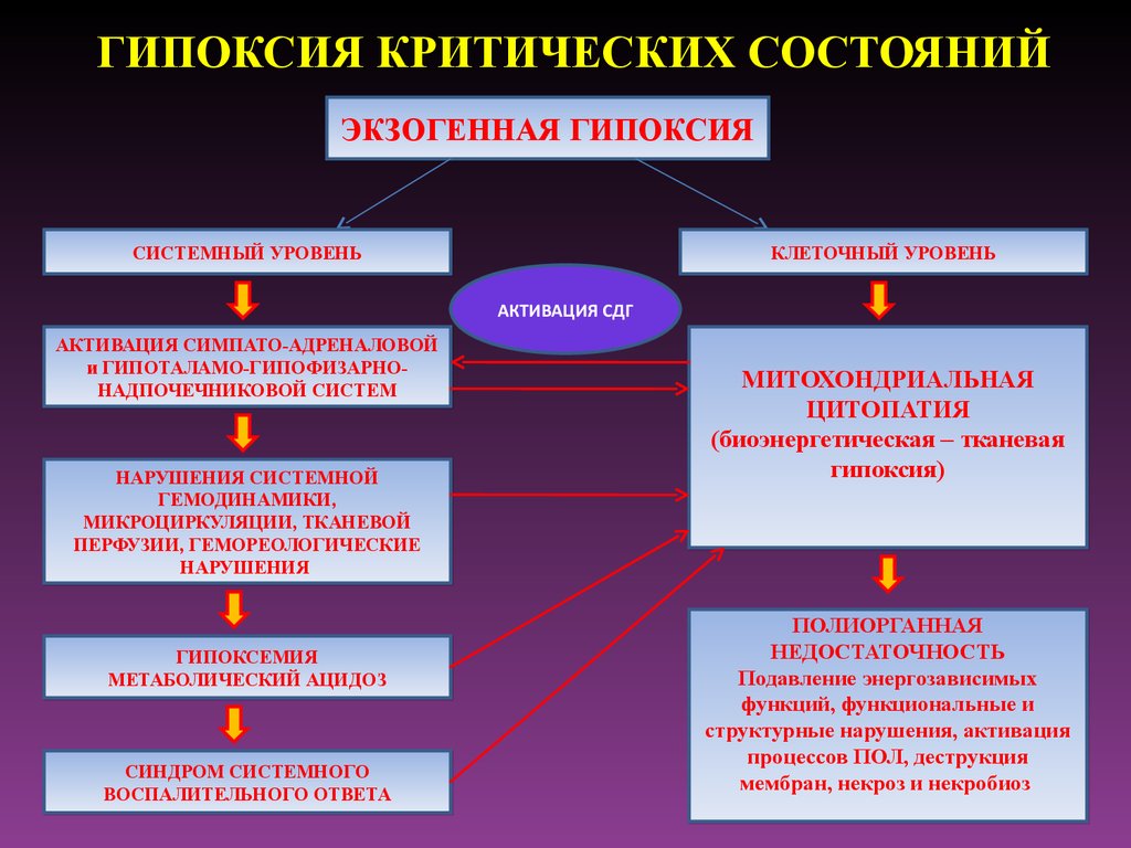 Какие гипоксия. Острая гипоксия патогенез. Патогенез хронической гипоксии. Причины гипоксии. Причины острой гипоксии.