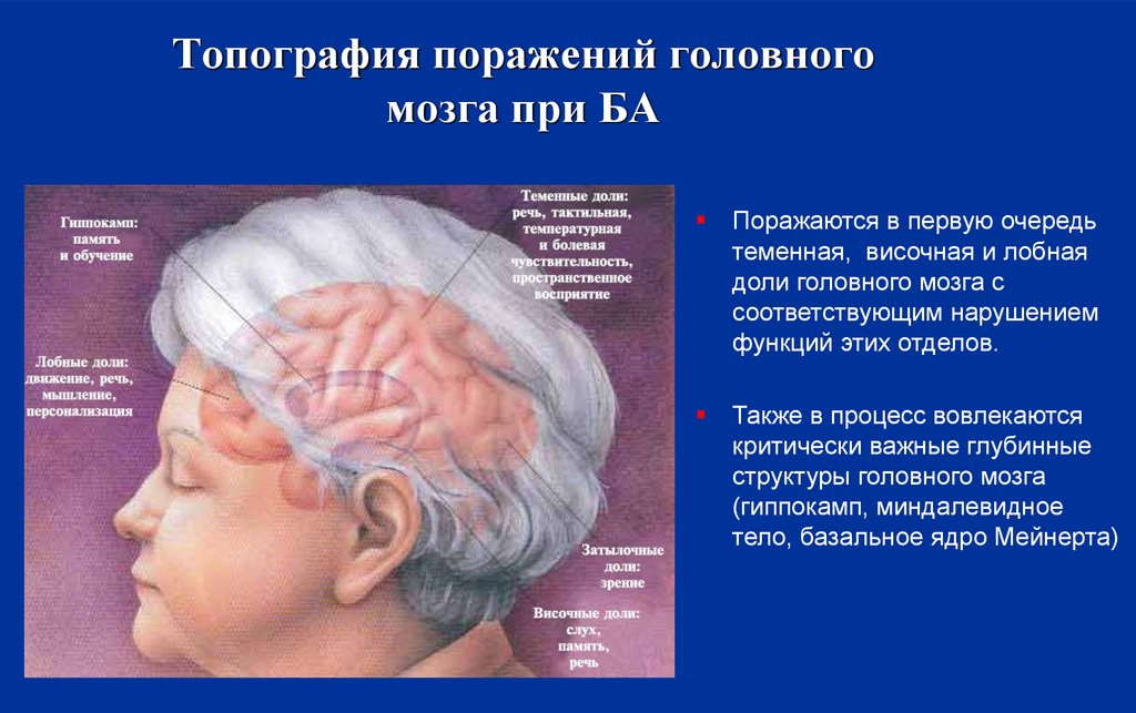 Необратимые нарушения головного мозга. Поражение головного мозга. Топография головного мозга. Органические заболевания головного мозга. Топография отделов головного мозга.