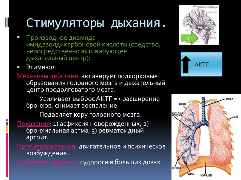 Рефлекторные стимуляторы дыхания. Стимуляторы дыхания фармакологические эффекты. Стимуляторы дыхания прямого действия механизм действия. Стимуляторы дыхания побочные эффекты. Стимуляторы дыхания фармакология механизм действия.