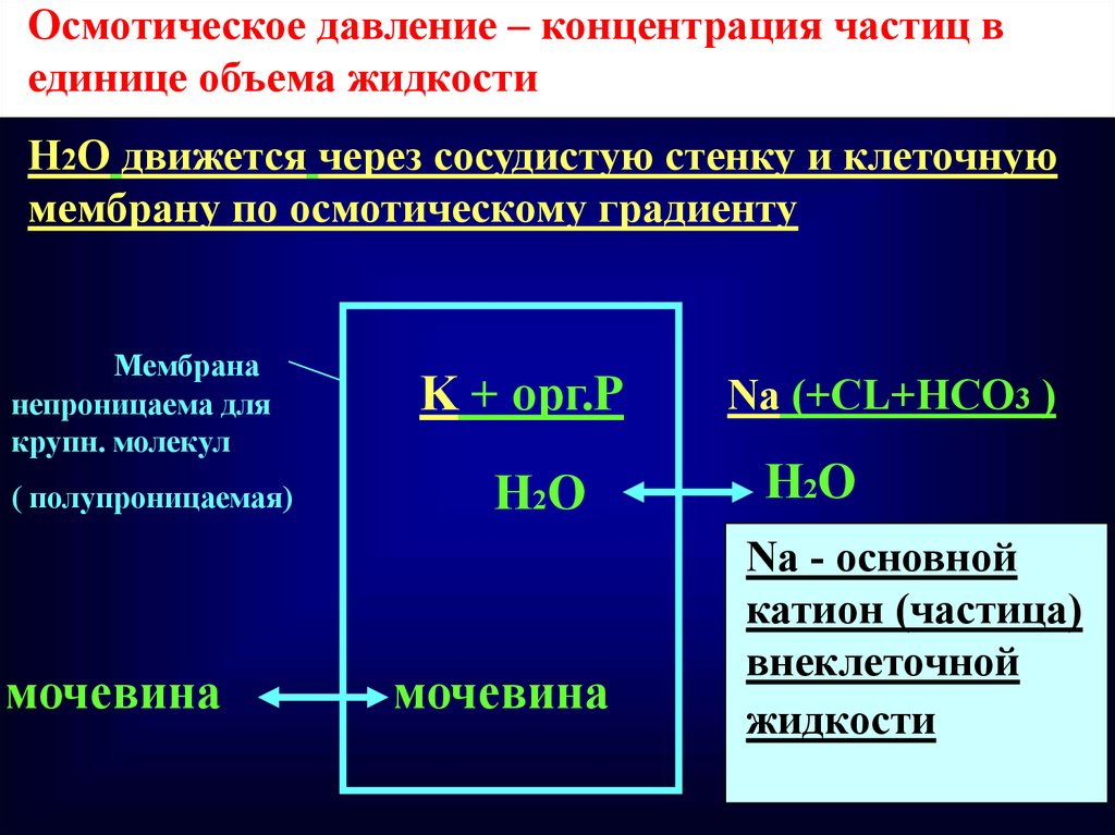 Концентрация частиц и объем. Осмотическая концентрация. Понятие об осмотическом давлении. Формула осмотического давления для электролитов. Величина осмотического давления составляет.