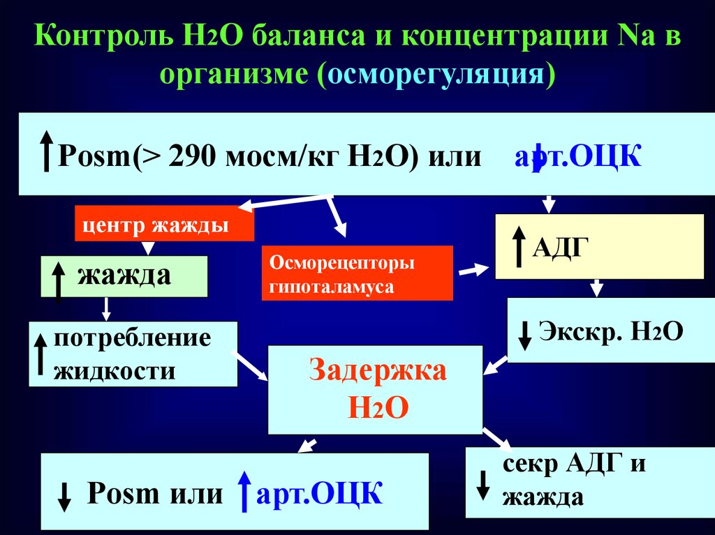 Н контроль. Контроль водно-солевого обмена. Контроль водного баланса в организме. Железа, контролирующая водно-солевой обмен:. Контроль водно электролитного обмена.