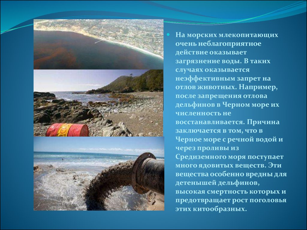 Влияние загрязнения воды на человека. Причины загрязнения морей. Причины загрязнения черного моря. Загрязнение воды влияние на животных. Влияние загрязнения воды на растения и животных.