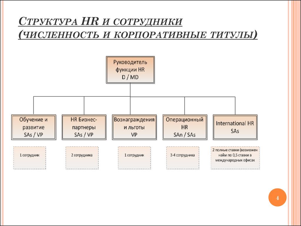 Структурные работники. Структура HR. Структура работников. Иерархия сотрудников. Корпоративная иерархия.