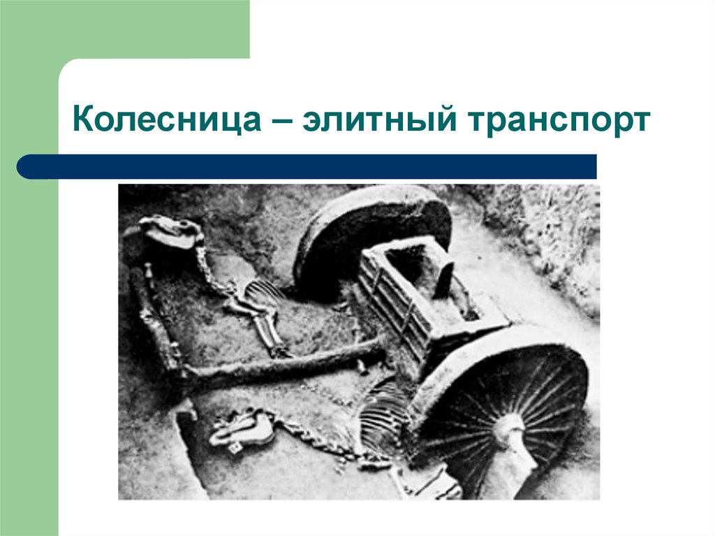 Колесница – элитный транспорт