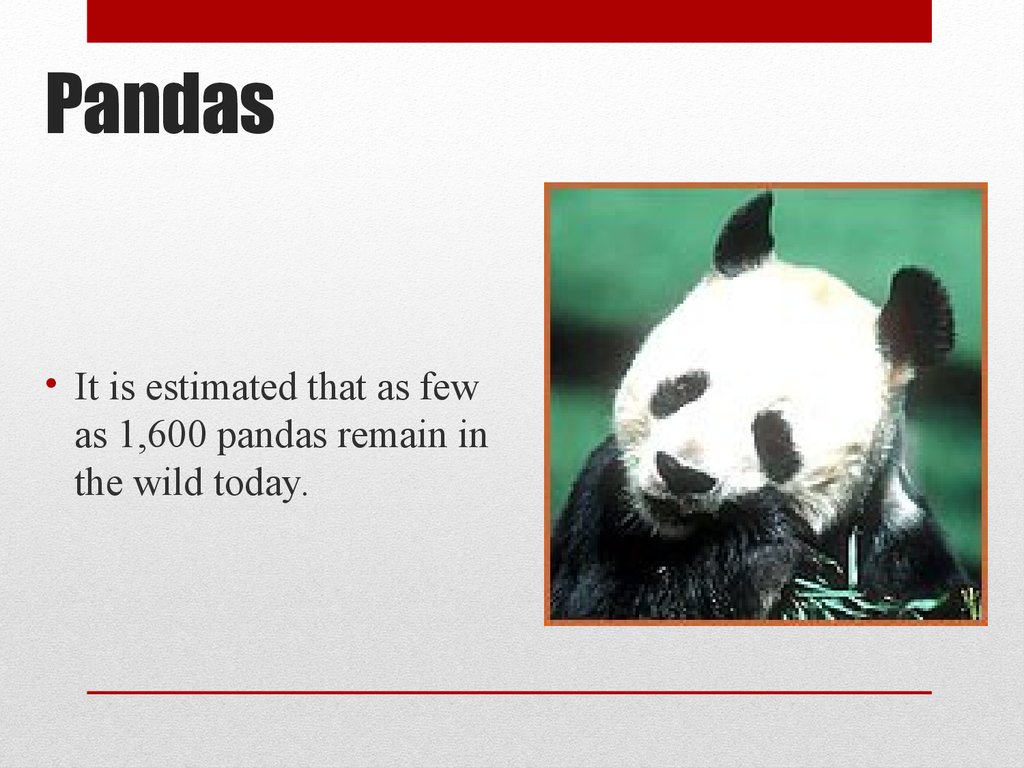 Pandas remove