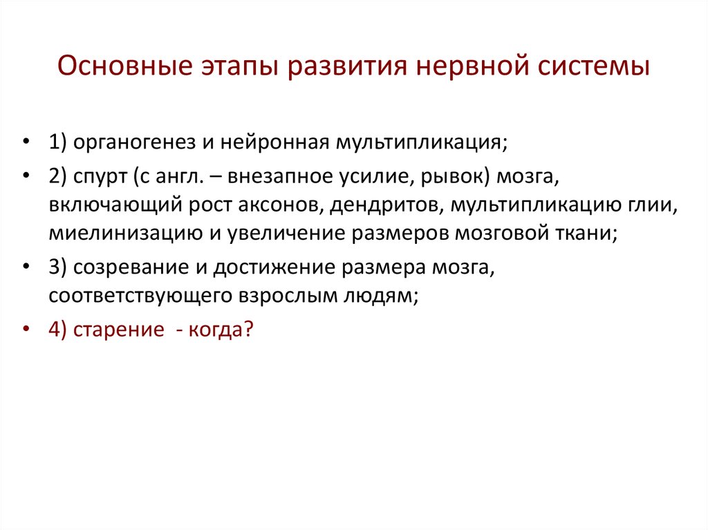 Система этап. Основные стадии развития ЦНС. Основные этапы нервной системы. Основные этапы развития нервной системы. Основные этапы формирования нервной системы.