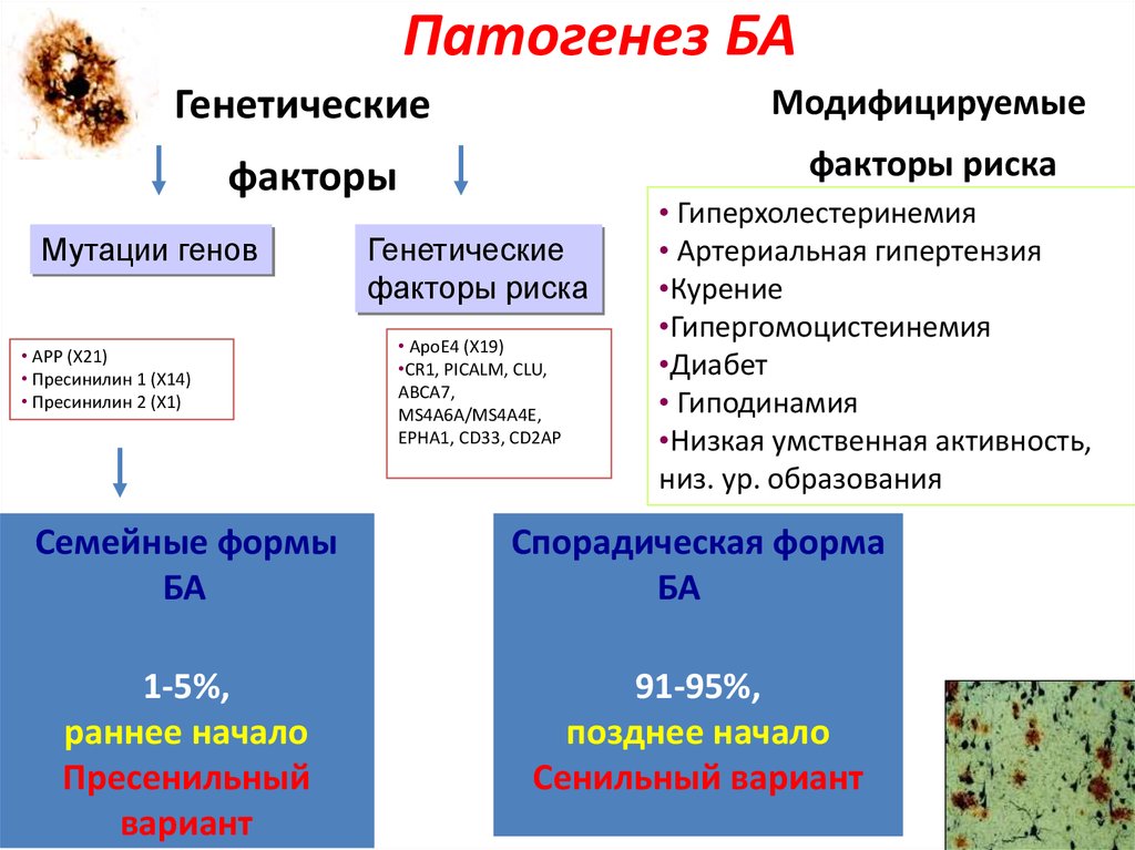 Генетическая форма