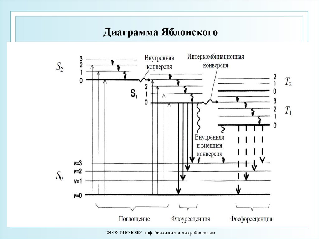 Диаграмма пояснение. Диаграмма Яблонского Теренина. Диаграмма Яблонского флуоресценция. Диаграмма Яблонского-Теренина люминесценция. Диаграмма Яблонского для триплетных уровней.