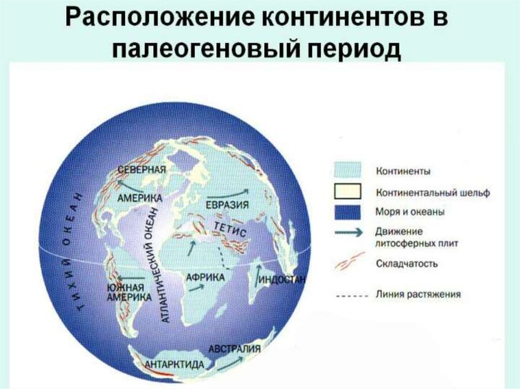 Карта мира 80 миллионов лет назад