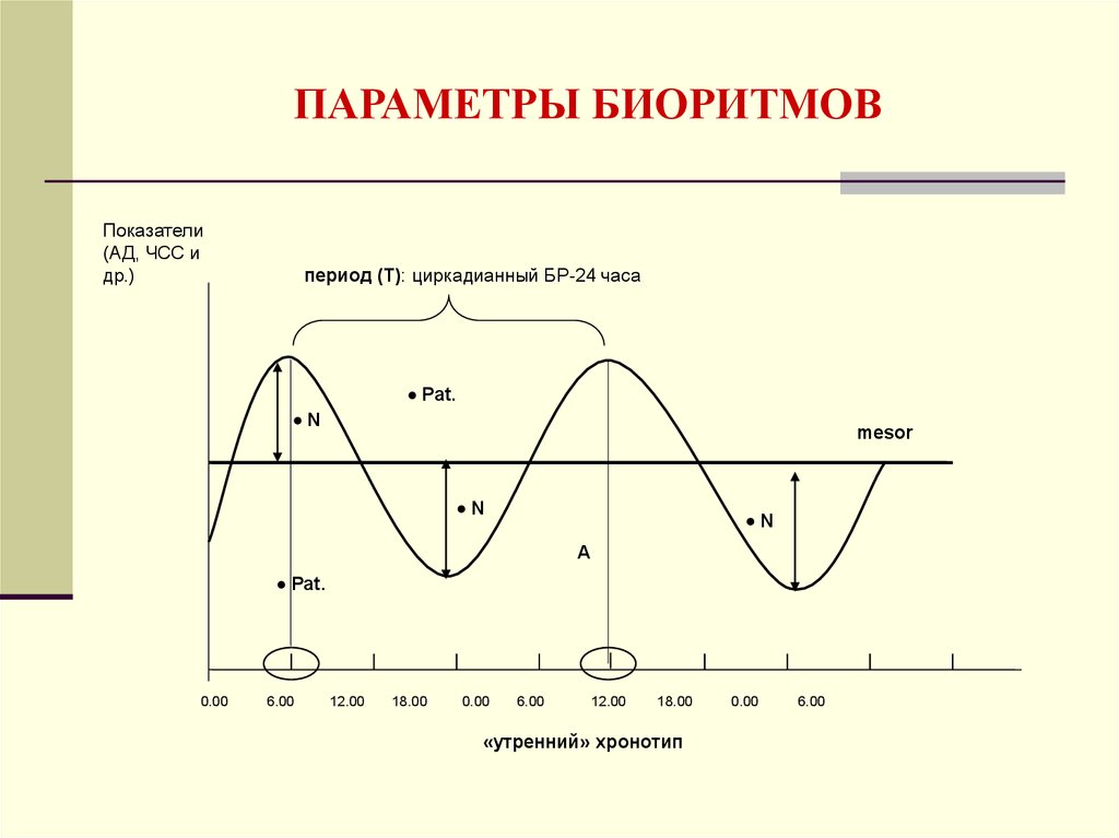 Типы биоритмов схема