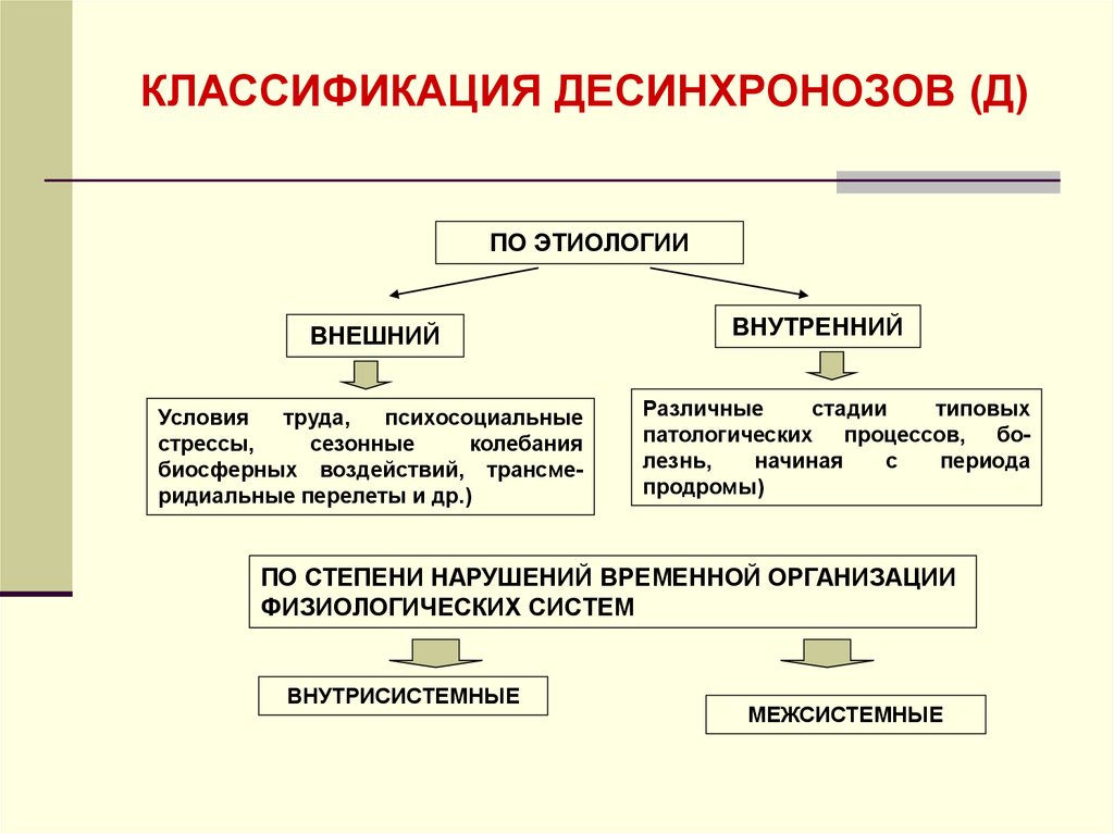 В тексте описана классификация биологических ритмов на основе текста заполни схему отражающую