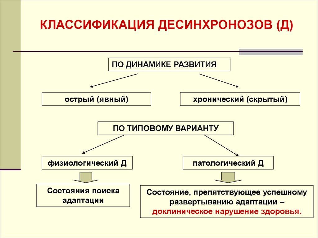 Значение биоритмов десинхроноз презентация