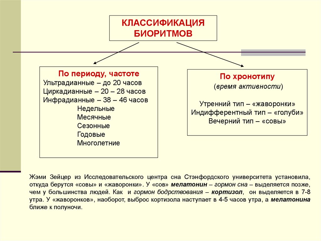 Типы вечеров