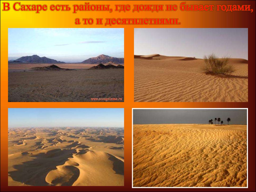 Особенности тропических пустынь