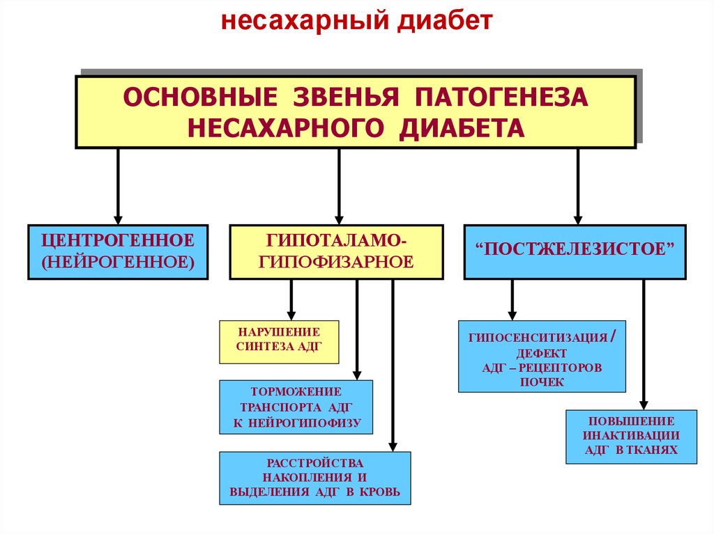 Патогенез полиурии при сахарном диабете. Несахарный диабет патофизиология. Звенья патогенеза несахарного диабета. Несахарный диабет патологическая физиология. Несахарный диабет биохимия симптомы.