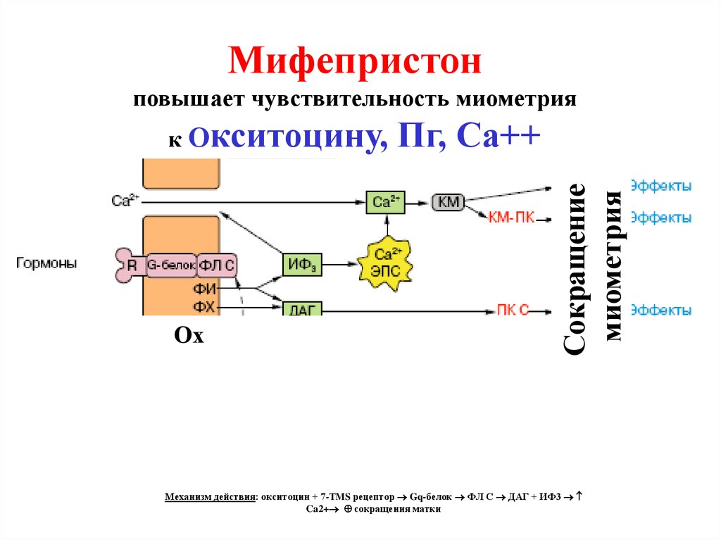 Родоусиление окситоцином схема